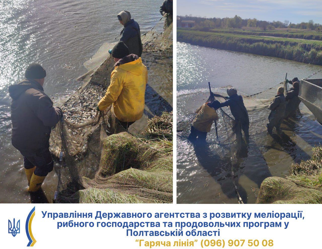 У річку Сухий Кагамлик випустили понад 900 кілограм молодняка риби