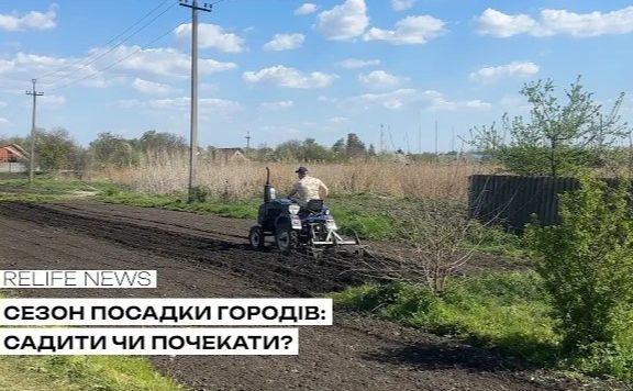 Сезон посадки городів: садити чи почекати?