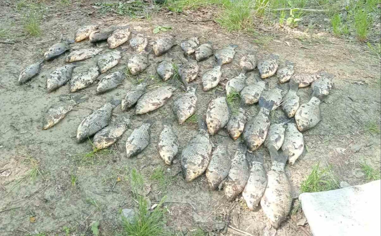 В районі Орлика та поблизу Лісного «на гарячому» затримали браконьєрів