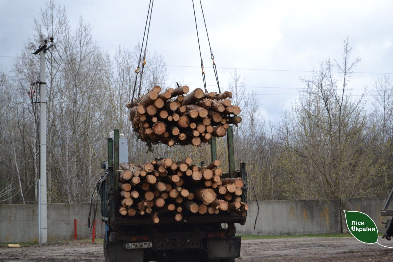 Слобожанський лісовий офіс продовжує забезпечувати військо деревиною