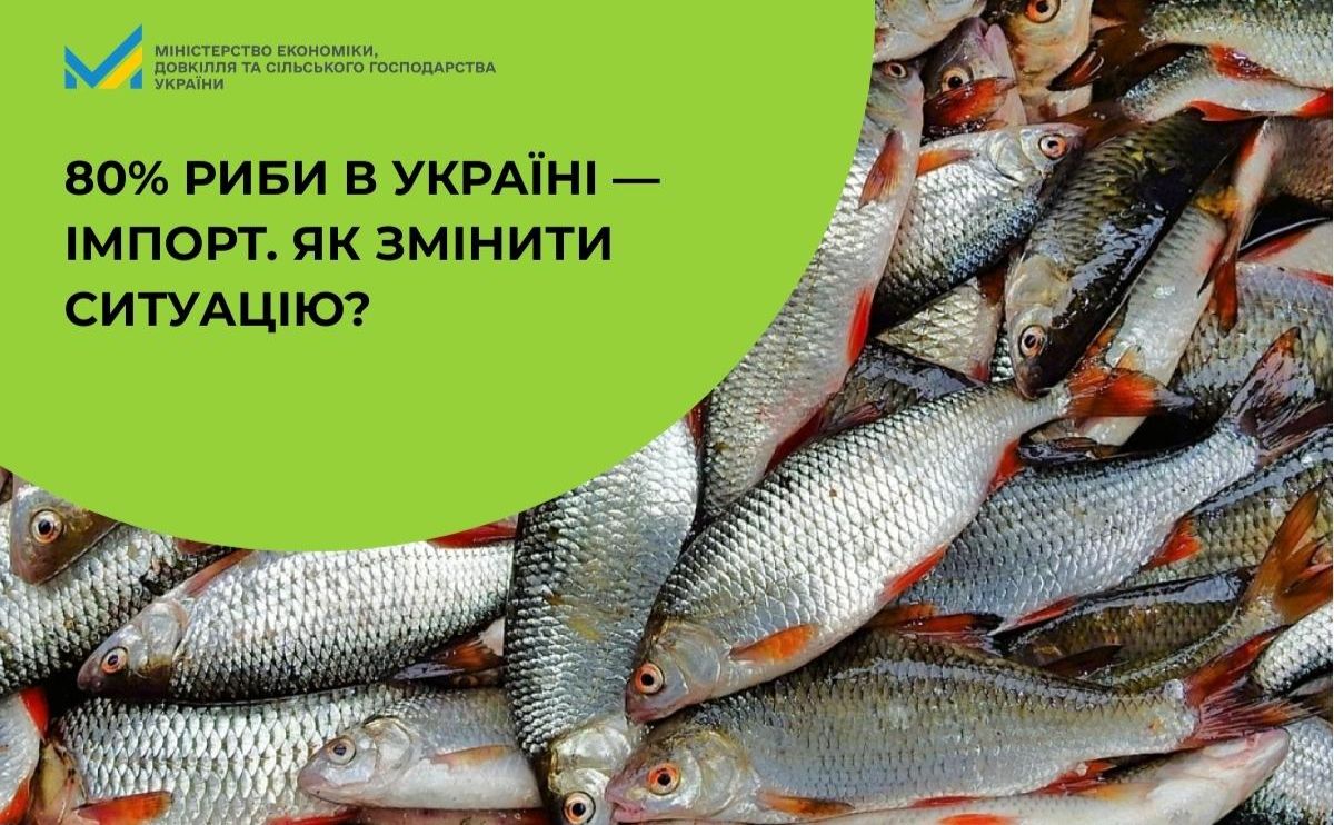 80% риби на українському ринку становить імпорт