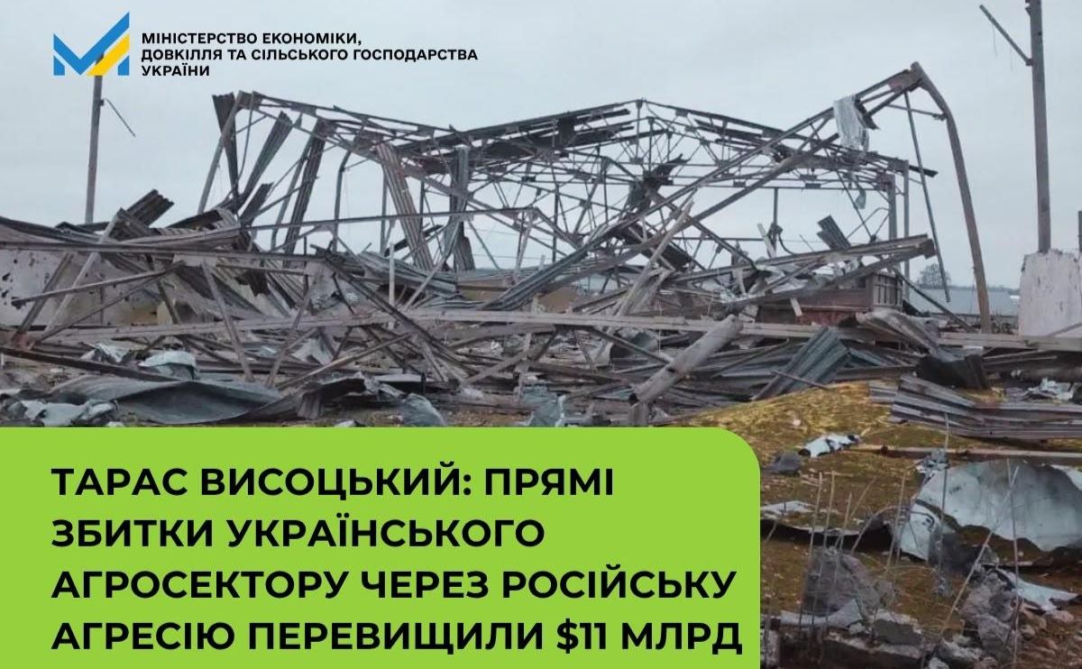 Агросектор втратив 11 млрд доларів через російські атаки