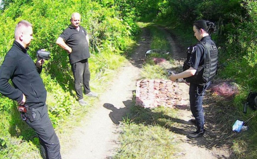 Золоті карасі стали справді «золотими» для браконьєра з Кобеляк