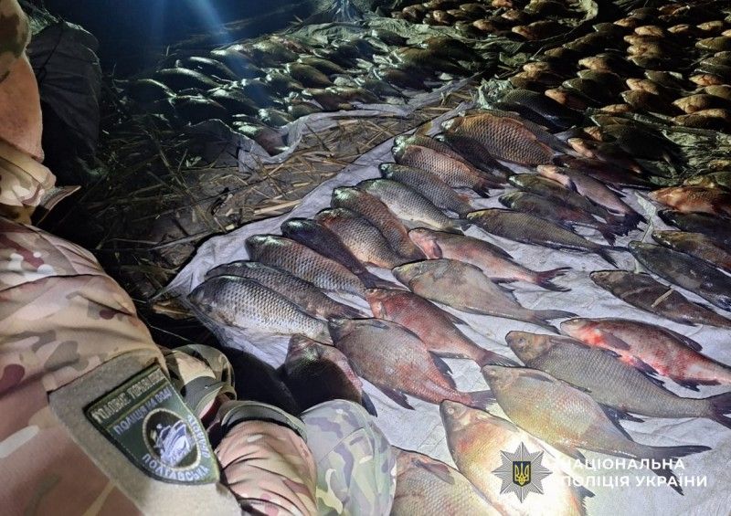«НЕРЕСТ-2026» на Полтавщині: мільйонні збитки та понад 40 відкритих кримінальних проваджень