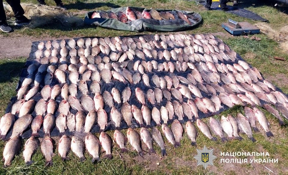 «НЕРЕСТ-2026» на Полтавщині: мільйонні збитки та понад 40 відкритих кримінальних проваджень