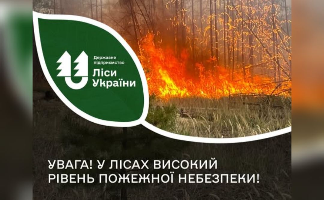 У лісах Полтавщини зберігається найвищий рівень пожежної небезпеки