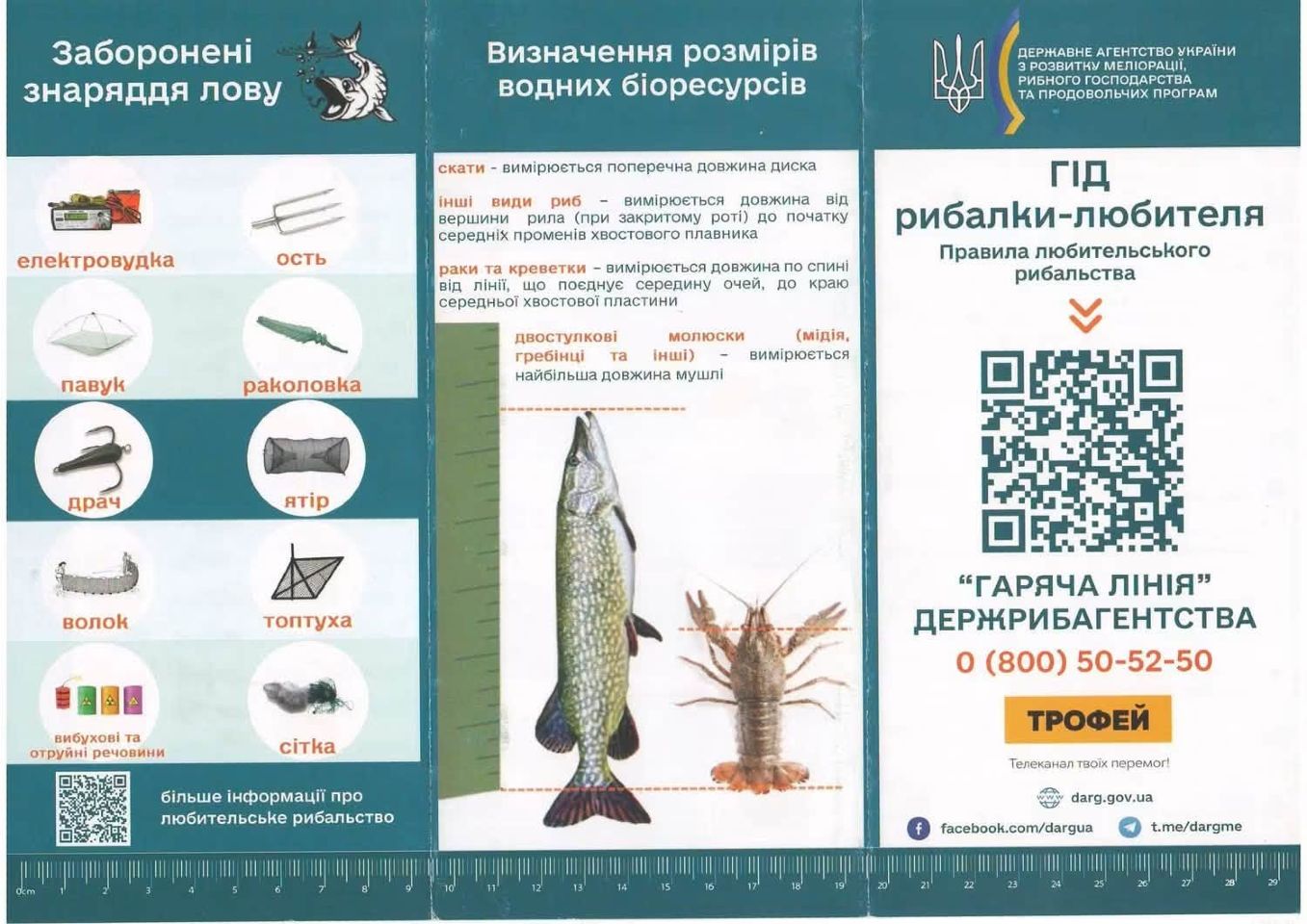 Рибалки Полтавщини отримали повну свободу: завершився нерест і заборона на вилов раків