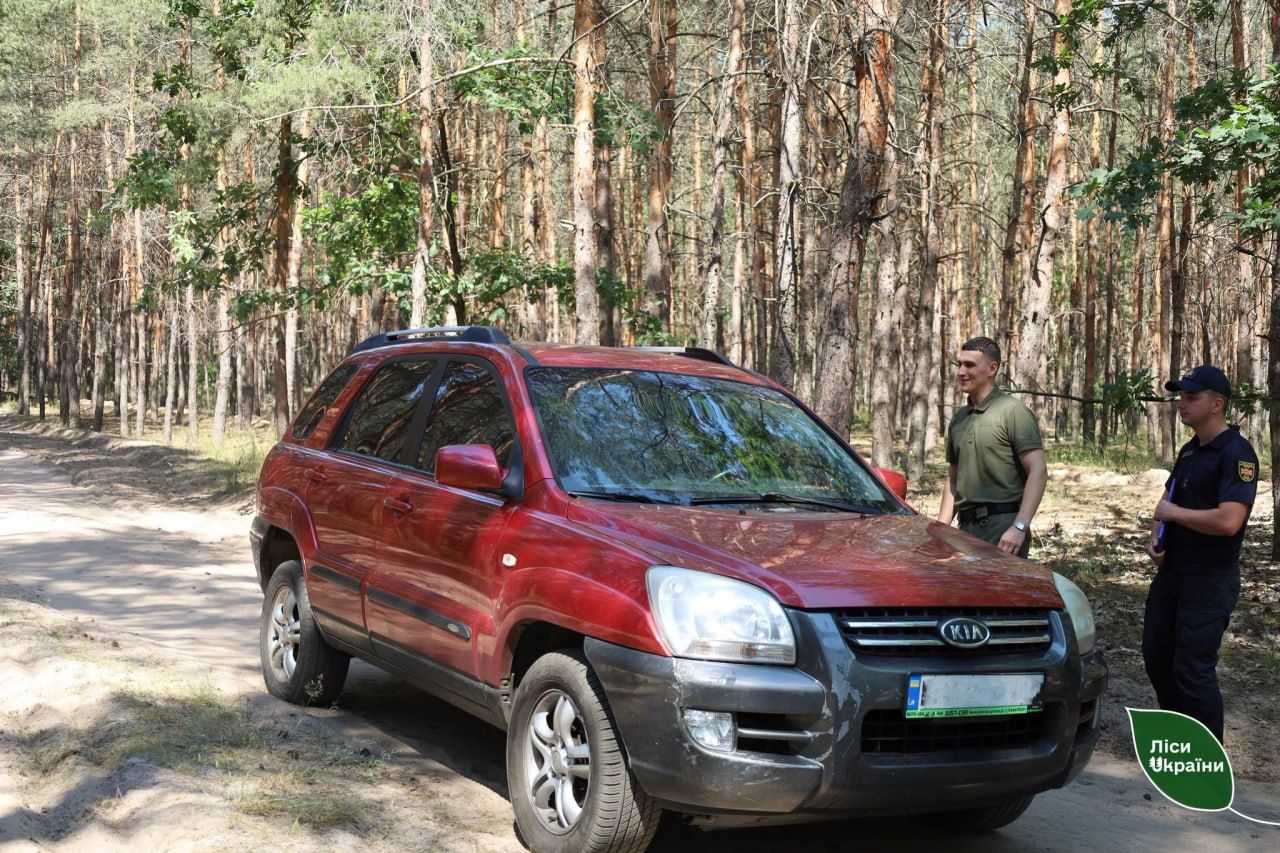 У регіоні триває посилене патрулювання лісів