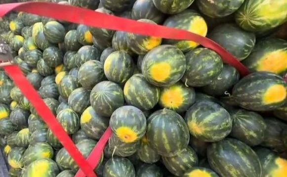 На українських прилавках вже з’явилися місцеві кавуни та дині