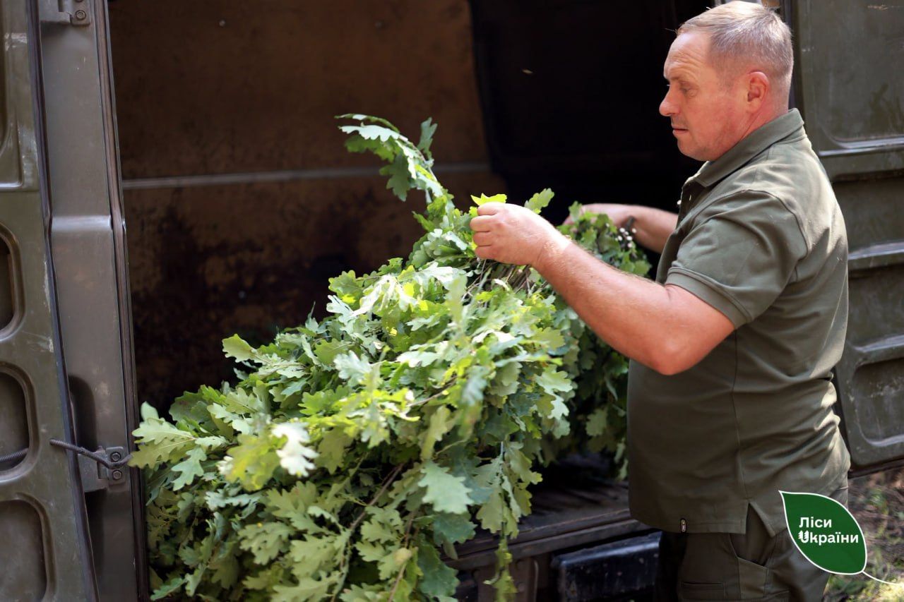 Лісівники заготовляють влітку корми для підгодівлі звірів взимку