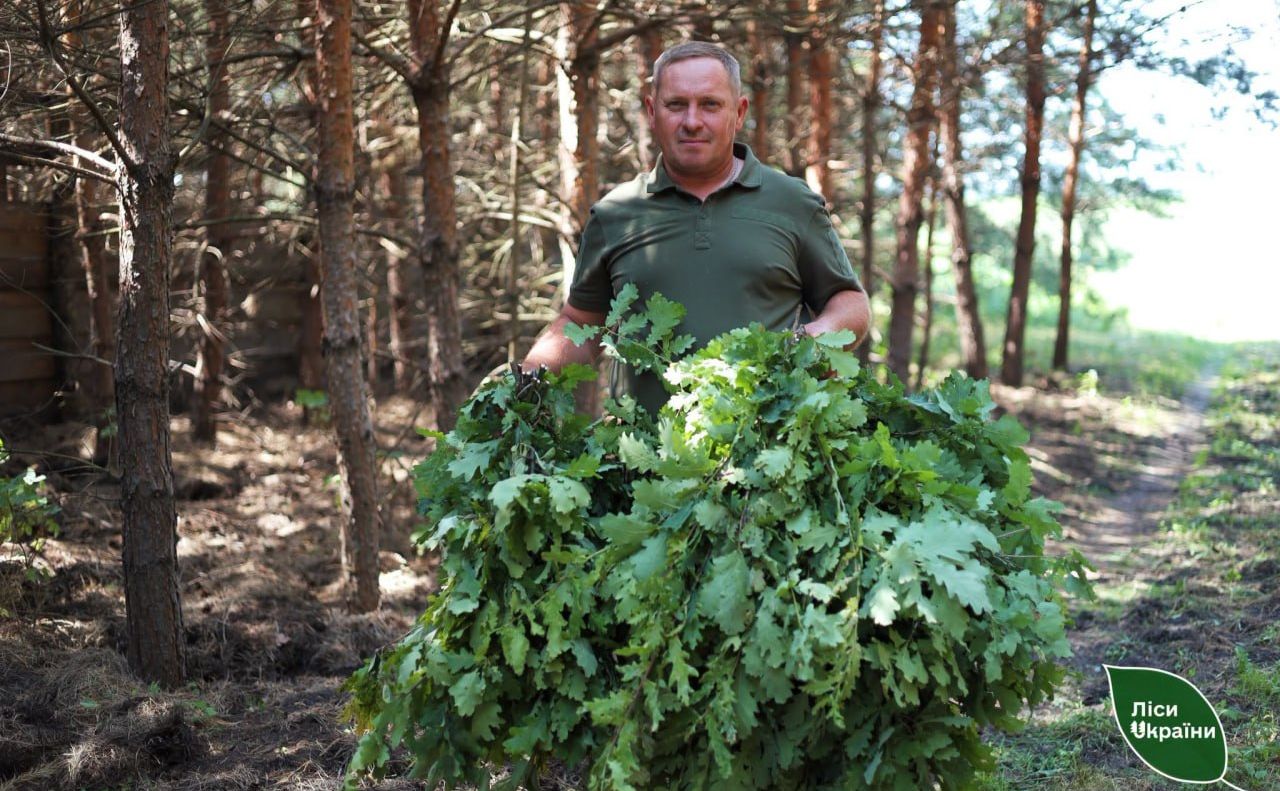 Лісівники заготовляють влітку корми для підгодівлі звірів взимку