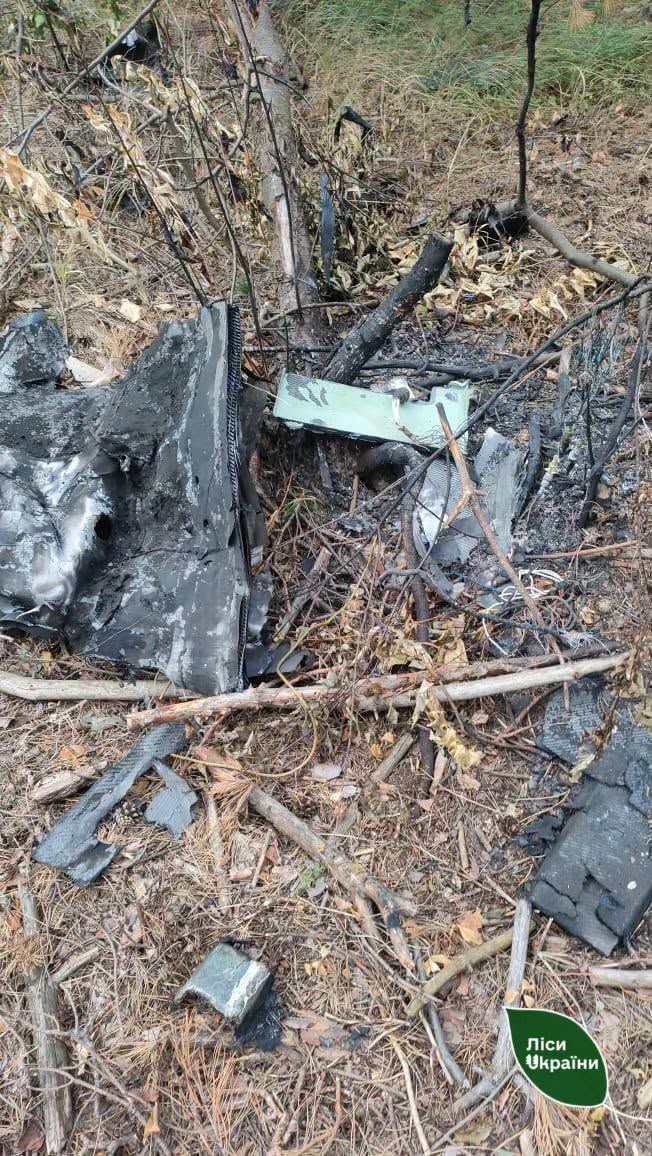 Через ворожий дрон на Полтавщині знищено майже 1 га лісу