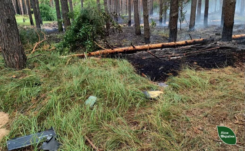 Через ворожий дрон на Полтавщині знищено майже 1 га лісу