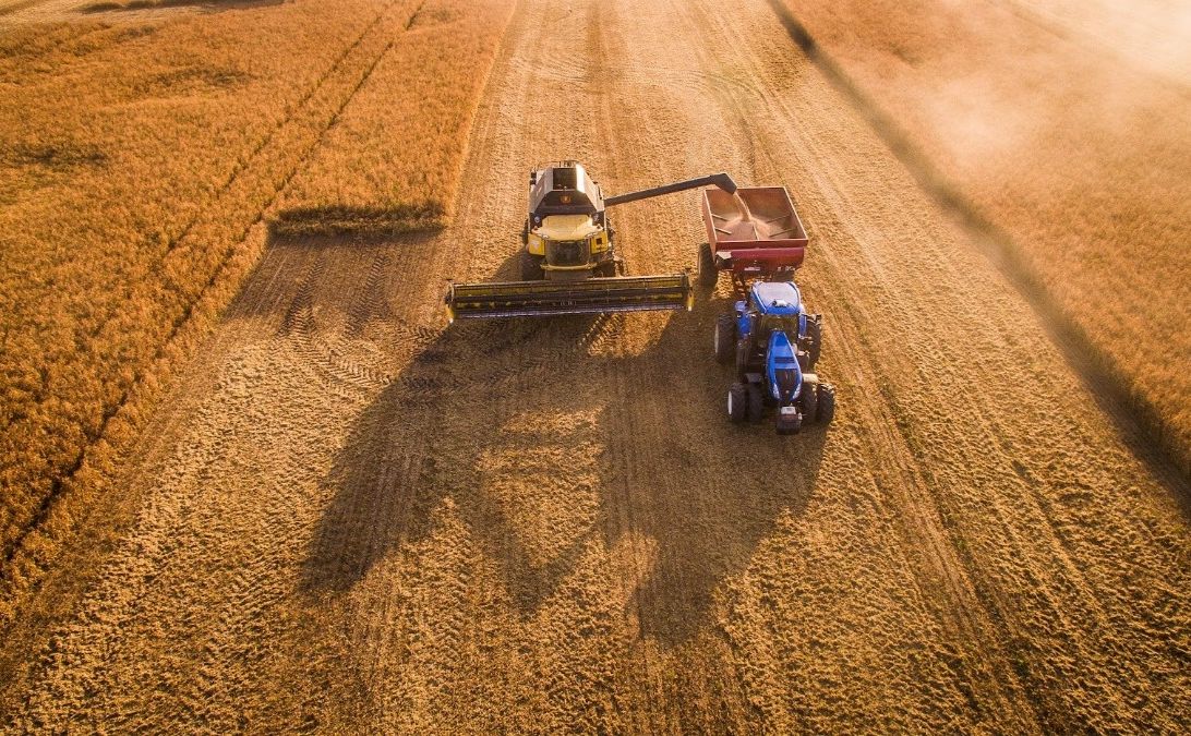 Жнива у Полтавській області набирають обертів