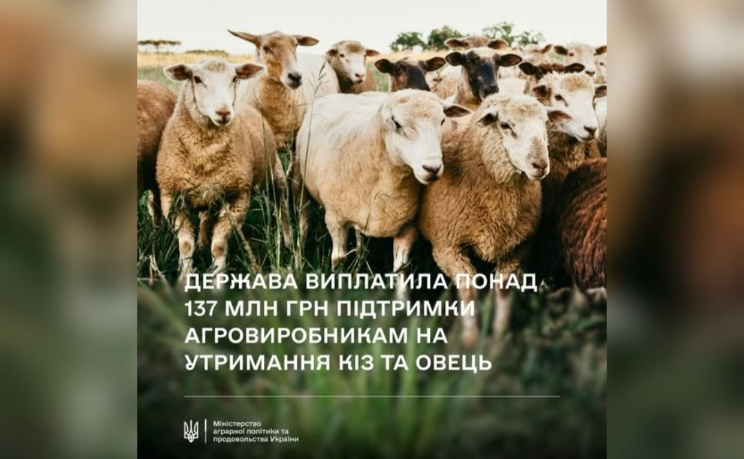 Фермери отримали перші дотаційні виплати на утримання кіз та овець