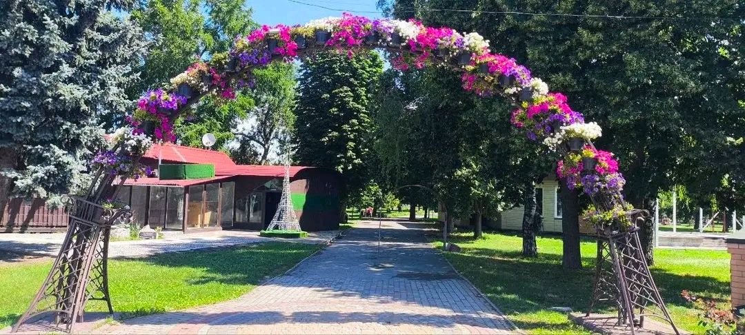 Як озеленювачі КП «Ефект» щодня створюють затишок у громаді