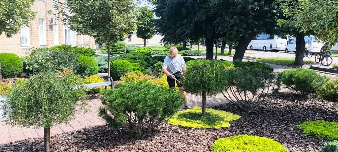Як озеленювачі КП «Ефект» щодня створюють затишок у громаді