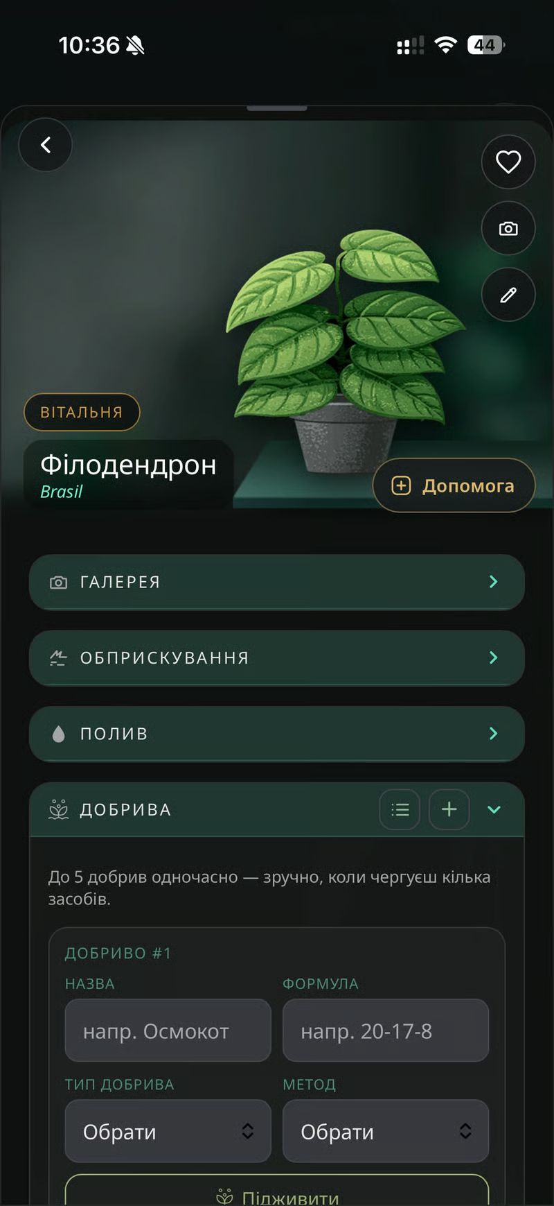 Українська дизайнерка створила застосунок для догляду за кімнатними рослинами