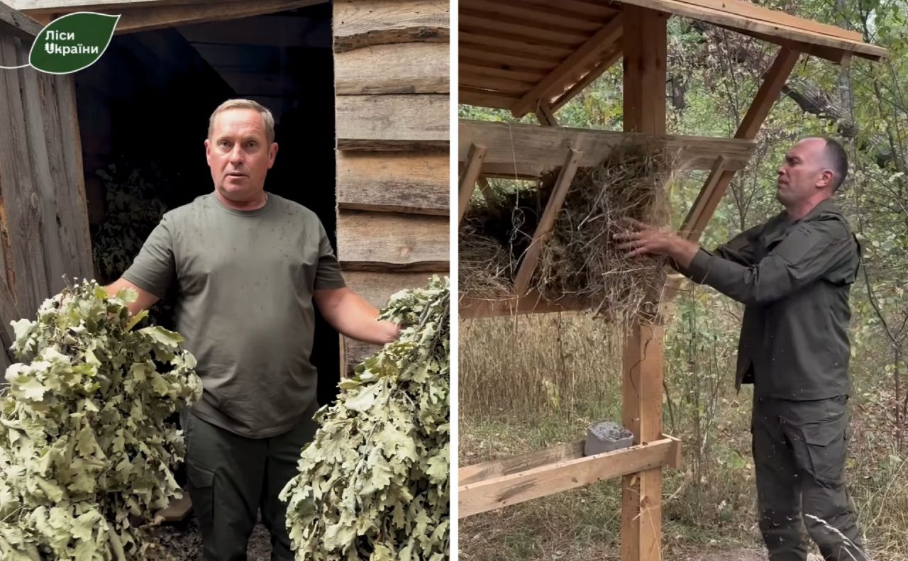 На Полтавщині лісівники встановлюють нові годівниці для диких тварин