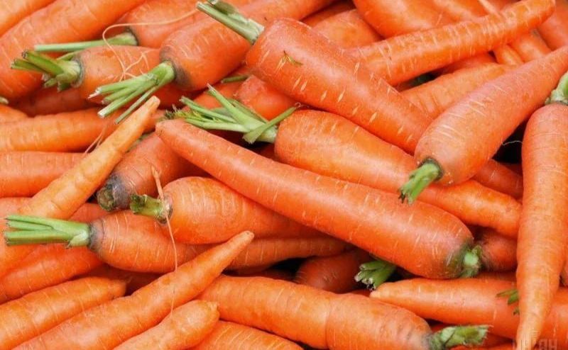 В Україні стрімко дешевшає морква