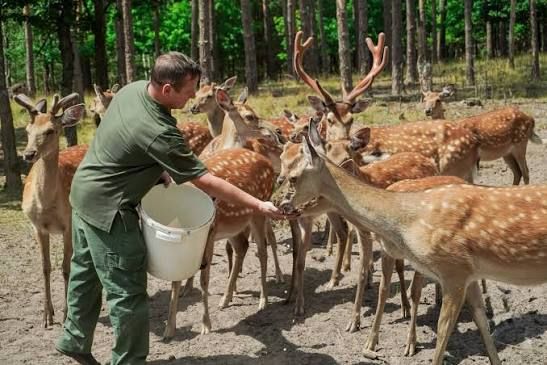 Які свята відзначаємо 20 вересня?