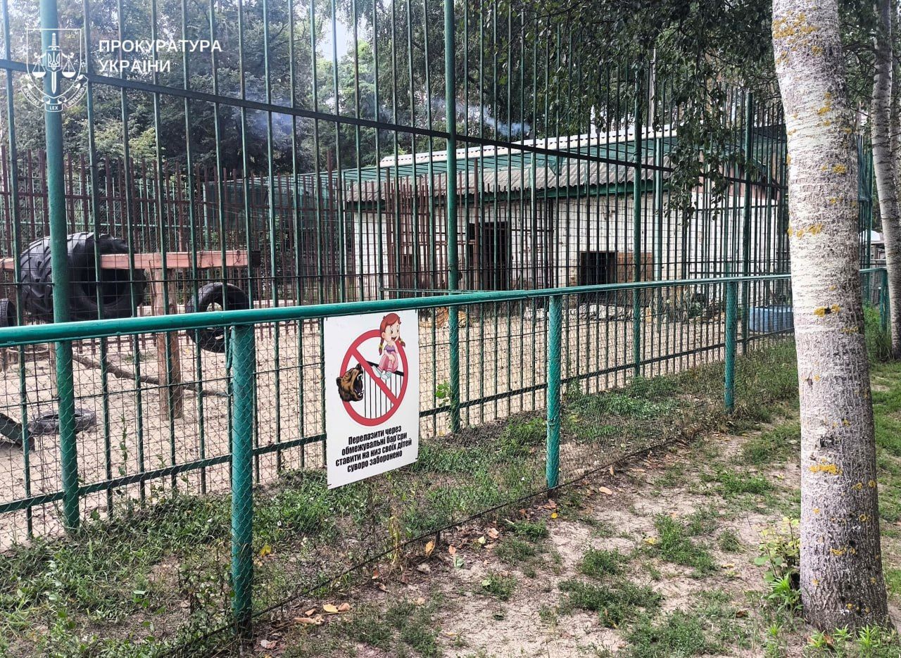 Лев травмував дитину у Котельві — про підозру повідомили ветеринарному лікарю