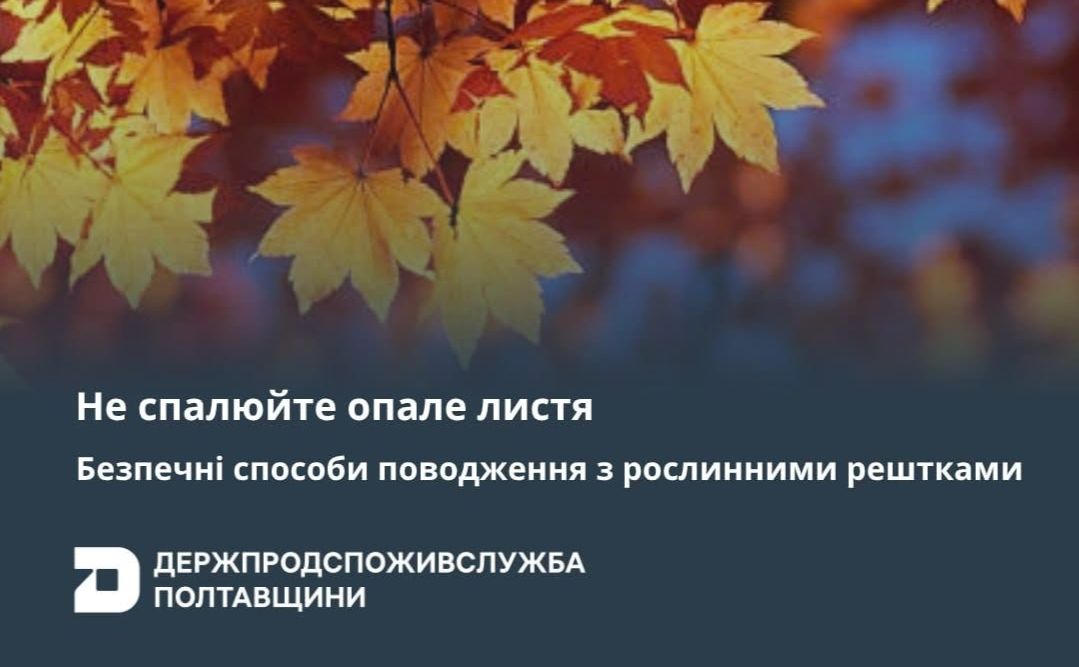 Жителів Полтавщини прохають не спалювати опале листя