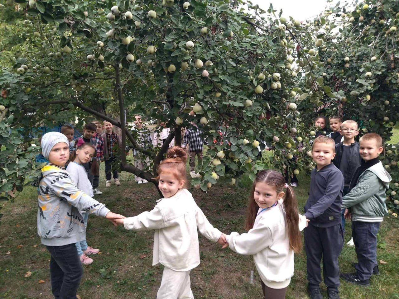 Решетилівські школярі — учасники всеукраїнського проекту «Дерево нашого класу»