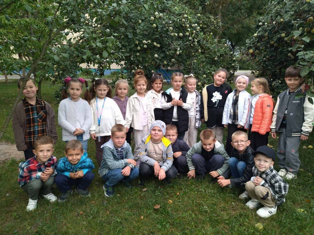 Решетилівські школярі — учасники всеукраїнського проекту «Дерево нашого класу»
