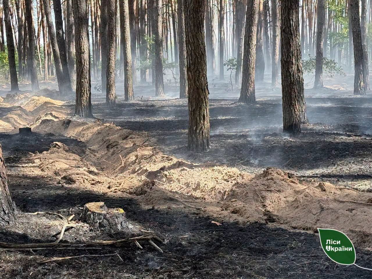 На Полтавщині ворожі безпілотники спричинили загоряння лісу на загальній площі 7,73 га
