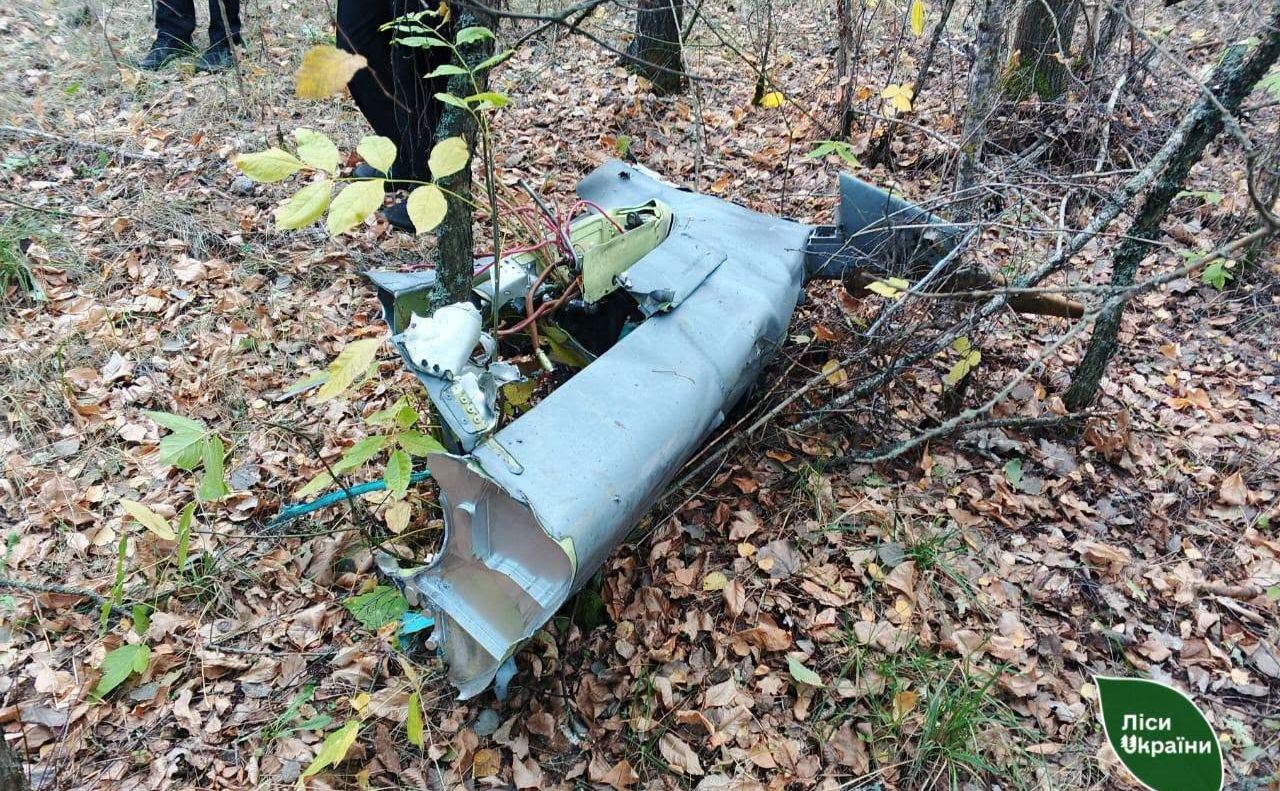 Масована атака на Полтавщину спричинила вигорання лісів