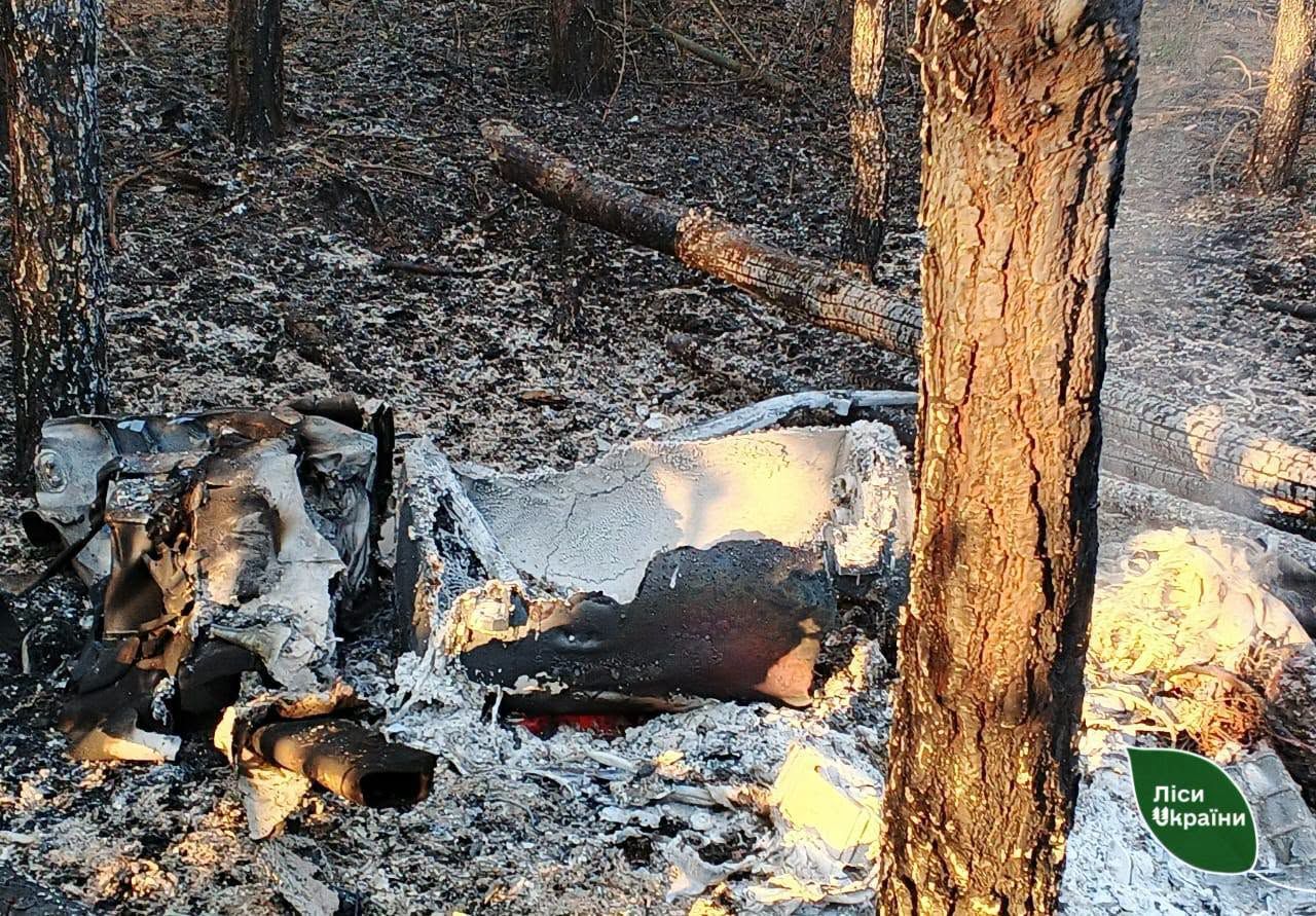 Масована атака на Полтавщину спричинила вигорання лісів