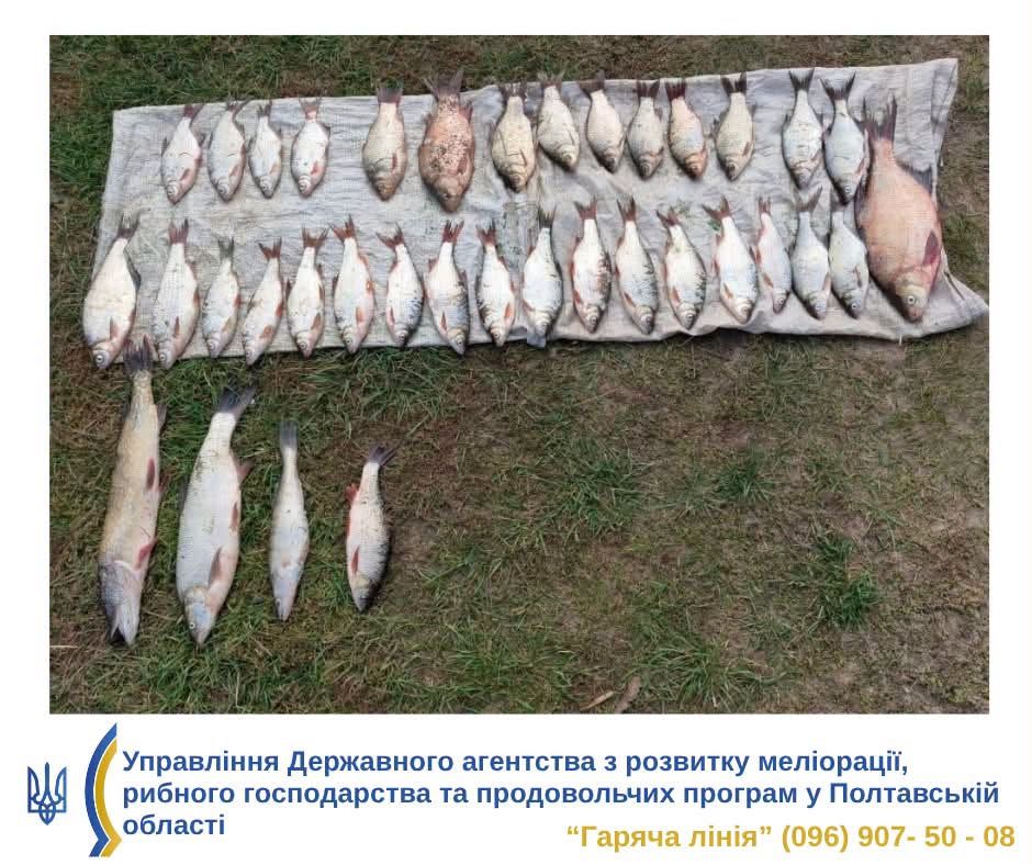 На Кам’янському водосховищі затримали рибалок із сітками